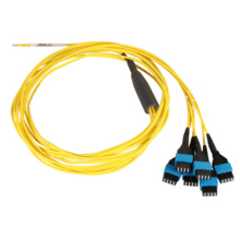 Rollable Ribbon, acclAIM, OS2 Single-Mode, 48 Fiber, Pigtail, Plenum Rated, Yellow - 5 Meter Rollable Ribbon, acclAIM, OS2 Single-Mode, 48 Fiber, Pigtail, Plenum Rated, Yellow - 5 Meter