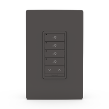 Wattstopper PLUS Wired Standard Switch, 4B 1R, Brown