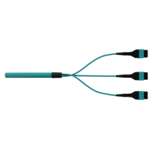 Infinium acclAIM Fiber Trunk Assembly, Plenum, MM OM4, 24 Fiber polarity C, 30 Meter Infinium acclAIM Fiber Trunk Assembly, Plenum, MM OM4, 24 Fiber polarity C, 30 Meter