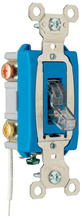 Industrial Extra Heavy Duty Specification Grade Switch, Lighted When On, Back and Side Wire, Clear