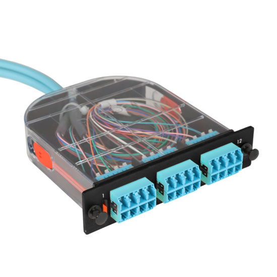 LM2 Cassette, 24 Fiber, LC Quad (6), Multimode (OM4) to 1 Meter, 900µm Tight Buffer Pigtail trimetric right