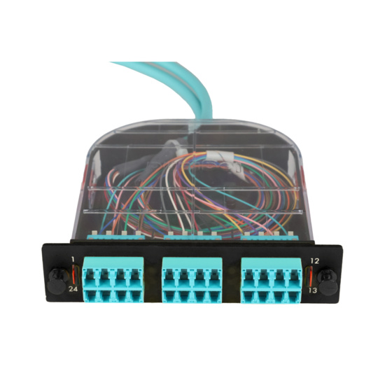 LM2 Cassette, 24 Fiber, LC Quad (6), Multimode (OM4) to 1 Meter, 900µm Tight Buffer Pigtail trimetric top