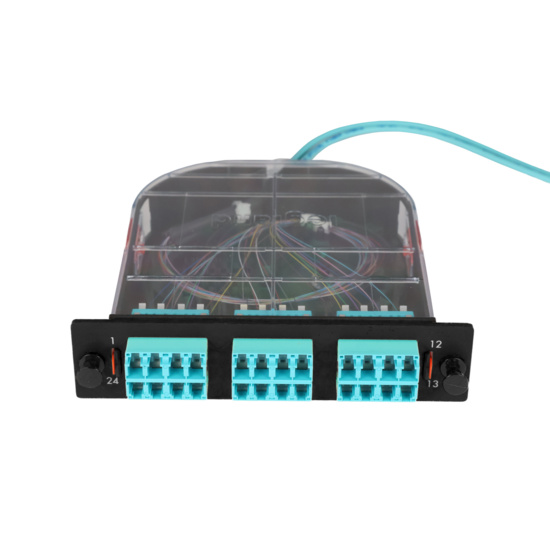 LM2 Cassette, 24 Fiber, LC Quad (6), Multimode (OM4) to 1 Meter, 250µm Micro-Distribution Loose Tube Pigtail trimetric top