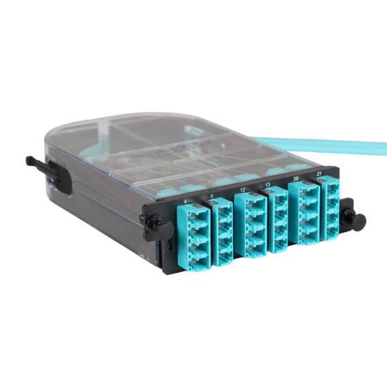 LM4 Cassette, 24 Fiber, LC Quad (6), Multimode (OM4) to 1 Meter, 250µm Micro-Distribution Loose Tube Pigtail trimetric right