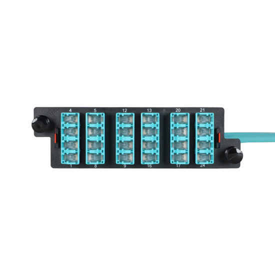 LM4 Cassette, 24 Fiber, LC Quad (6), Multimode (OM4) to 1 Meter, 900µm Tight Buffer Pigtail front