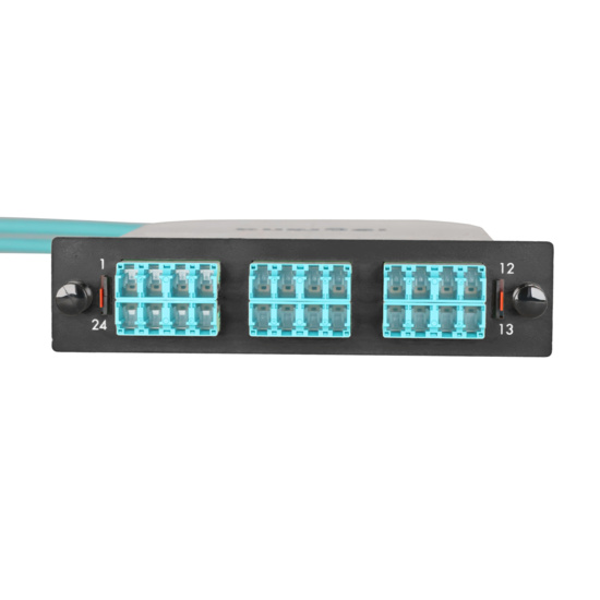 LM2 Cassette, 24 Fiber, LC Quad (6), Multimode (OM4) to 1 Meter, 900µm Tight Buffer Pigtail front