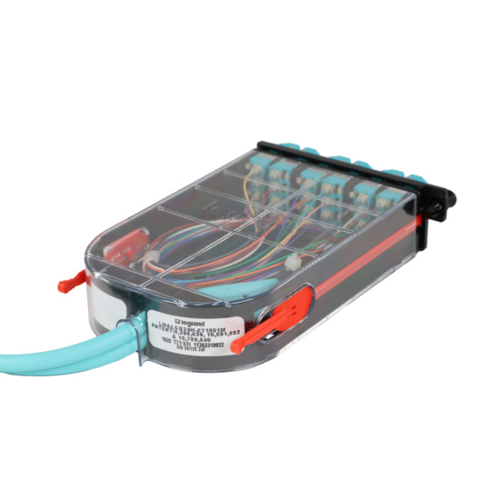 LM4 Cassette, 24 Fiber, LC Quad (6), Multimode (OM4) to 1 Meter, 900µm Tight Buffer Pigtail back