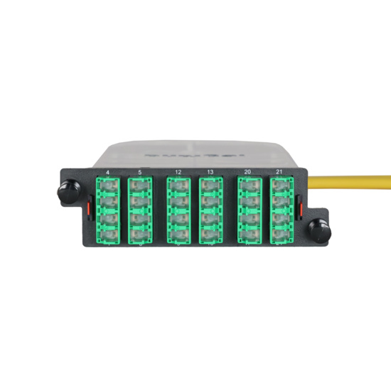 LM4 Cassette, 24 Fiber, LCA Quad (6), Single Mode (OS2) to 1 Meter, 900µm Tight Buffer Pigtail front