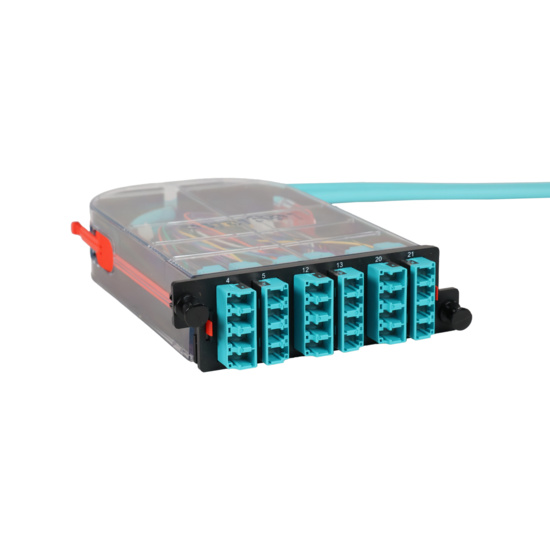 LM4 Cassette, 24 Fiber, LC Quad (6), Multimode (OM4) to 1 Meter, 900µm Tight Buffer Pigtail trimetric right