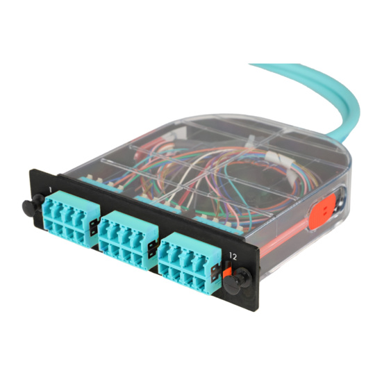 LM2 Cassette, 24 Fiber, LC Quad (6), Multimode (OM4) to 1 Meter, 900µm Tight Buffer Pigtail trimetric left