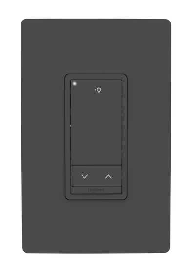 WSP Standard Switch in the color Black